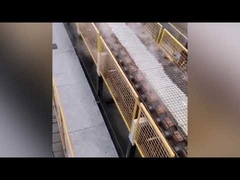 droogproces natriumsilicaatoven / machine voor het maken van vast natriumsilicaat